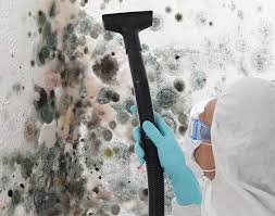 Professional Mold Inspection in Monroe, WI